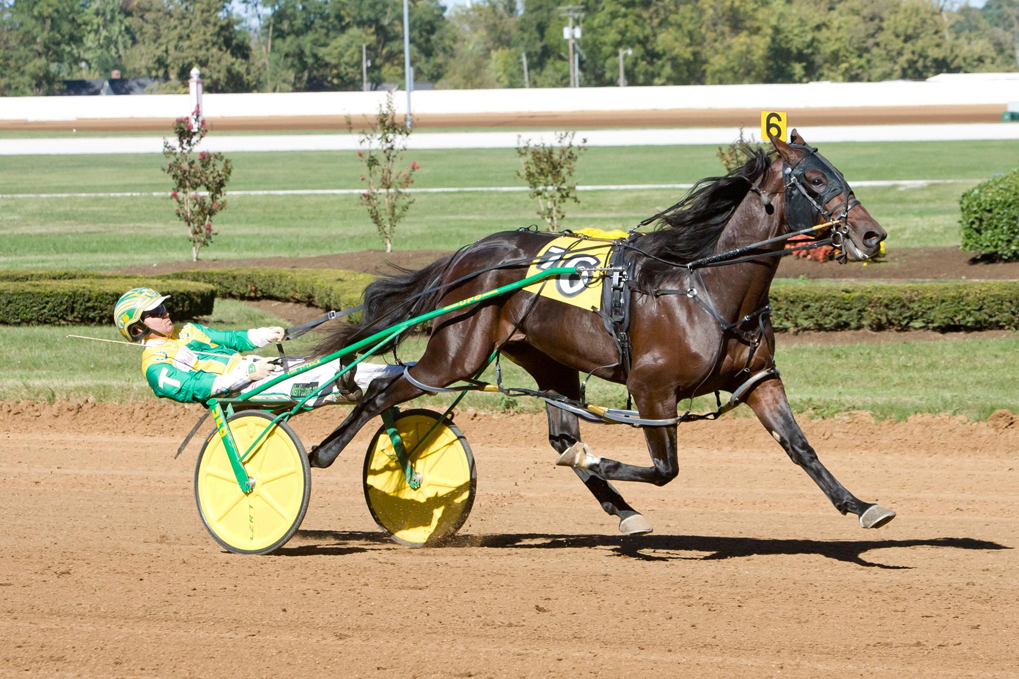 The 2023 Lexington Selected Yearling Sale Cobbitty Equine Farm